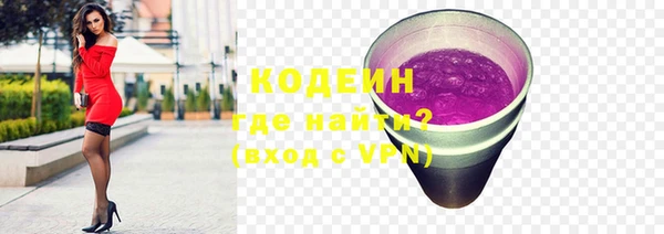 индика Карталы