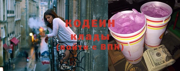 индика Карталы