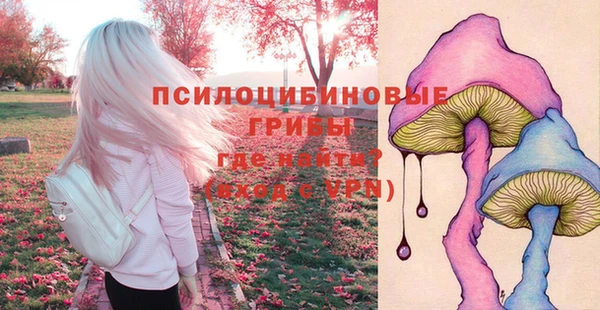 кристаллы Карпинск