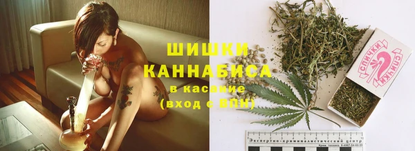 гашиш Касимов