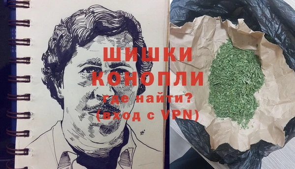 индика Карталы